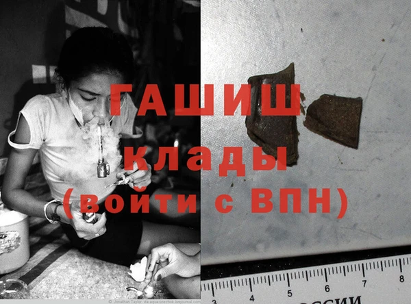 прущие грибы Горняк