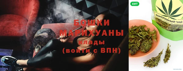 прущие грибы Горняк