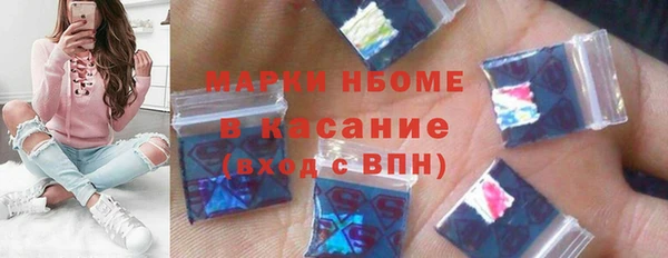 прущие грибы Горняк