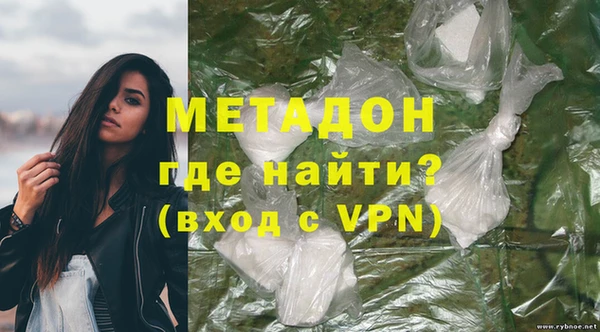 прущие грибы Горняк