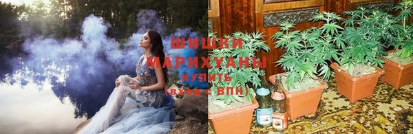 эйфоретик Горнозаводск