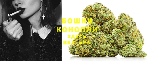 прущие грибы Горняк