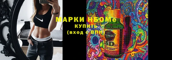 прущие грибы Горняк