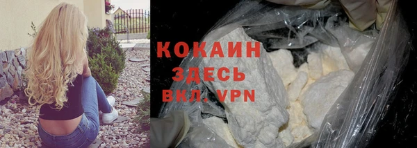 прущие грибы Горняк