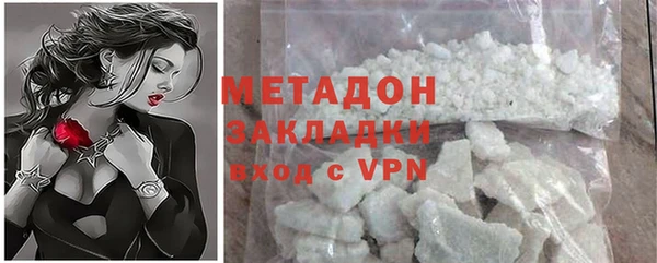прущие грибы Горняк