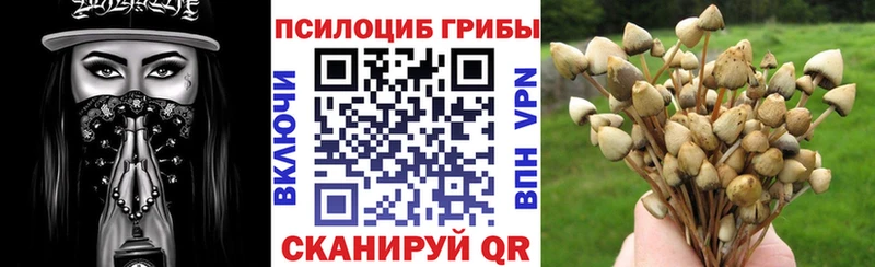 Галлюциногенные грибы MAGIC MUSHROOMS  Купить где  Светлоград 