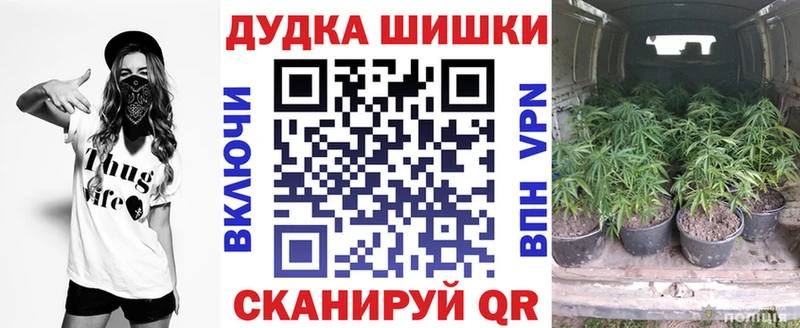 Купить закладки  Светлоград  Канабис Amnesia 